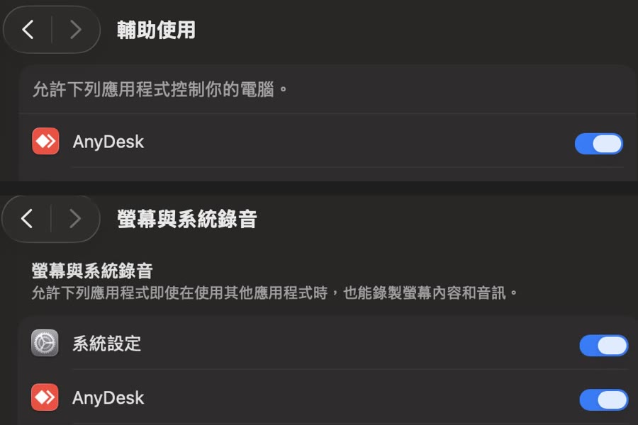 輔助使用與螢幕與系統錄音兩個清單裡，AnyDesk 的開關都已打開